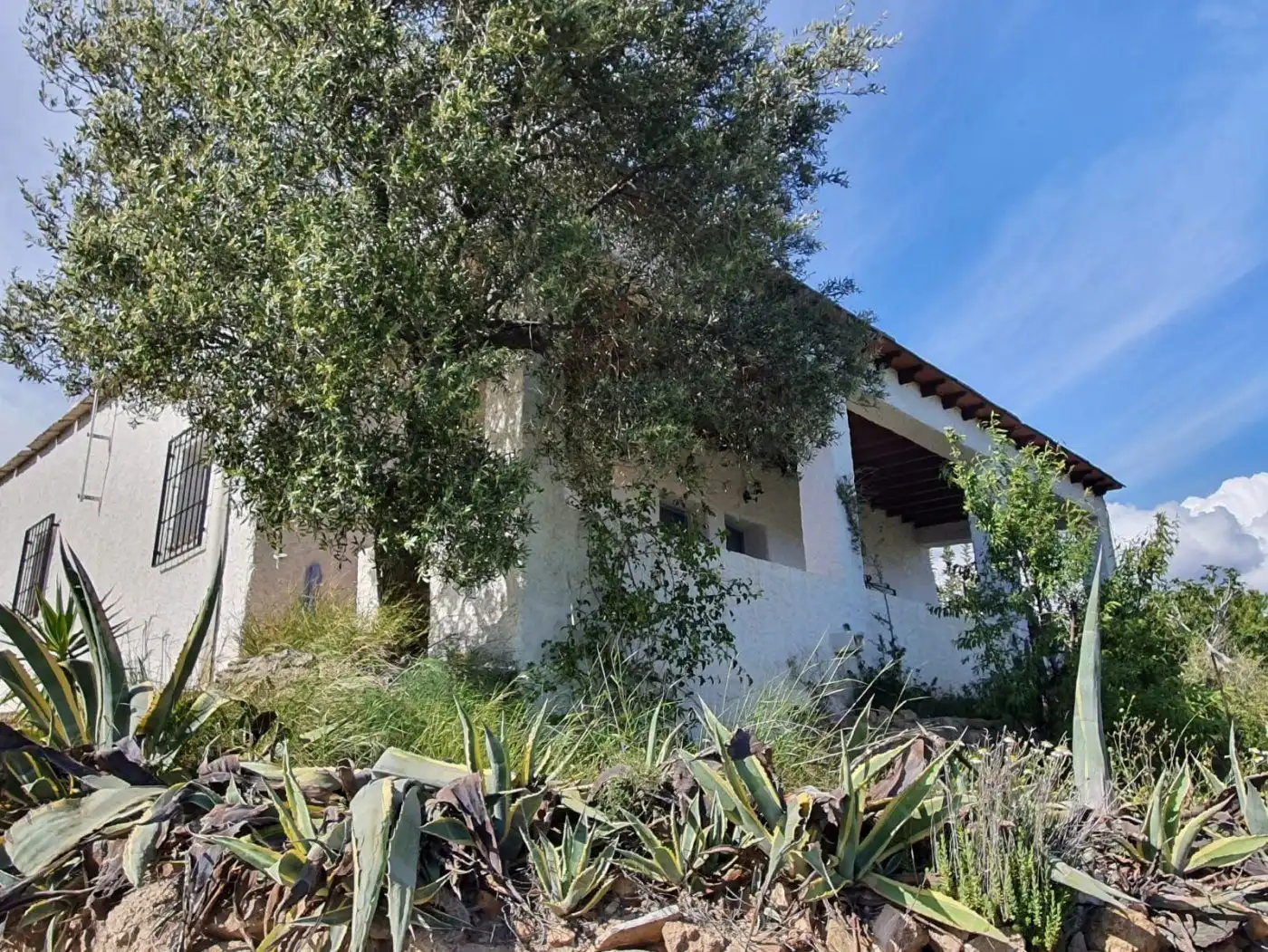 Finca rústica en venta en Beires