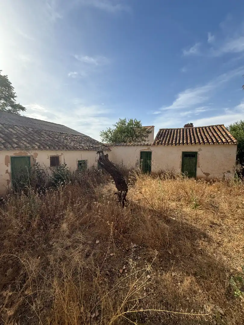 Terreno rustico in vendita a Calle Diseminado, imagen 8