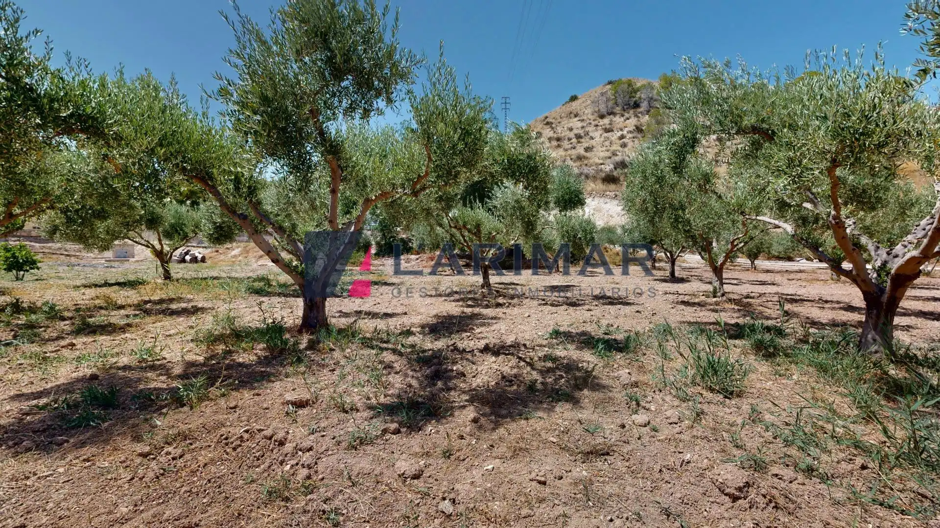 Casa o xalet en venda en Aspe amb Aire condicionat, Calefacció i Jardí privat