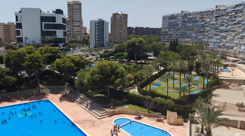 Photo 4 of Study for sale in Avenida Benidorm, 18, Playa de San Juan, Alicante / Alacant