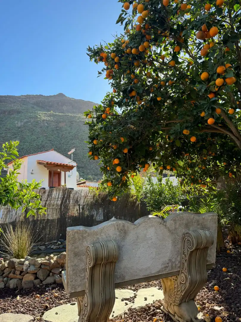 House with garden for sale in San Bartolomé Interior, imagen 47