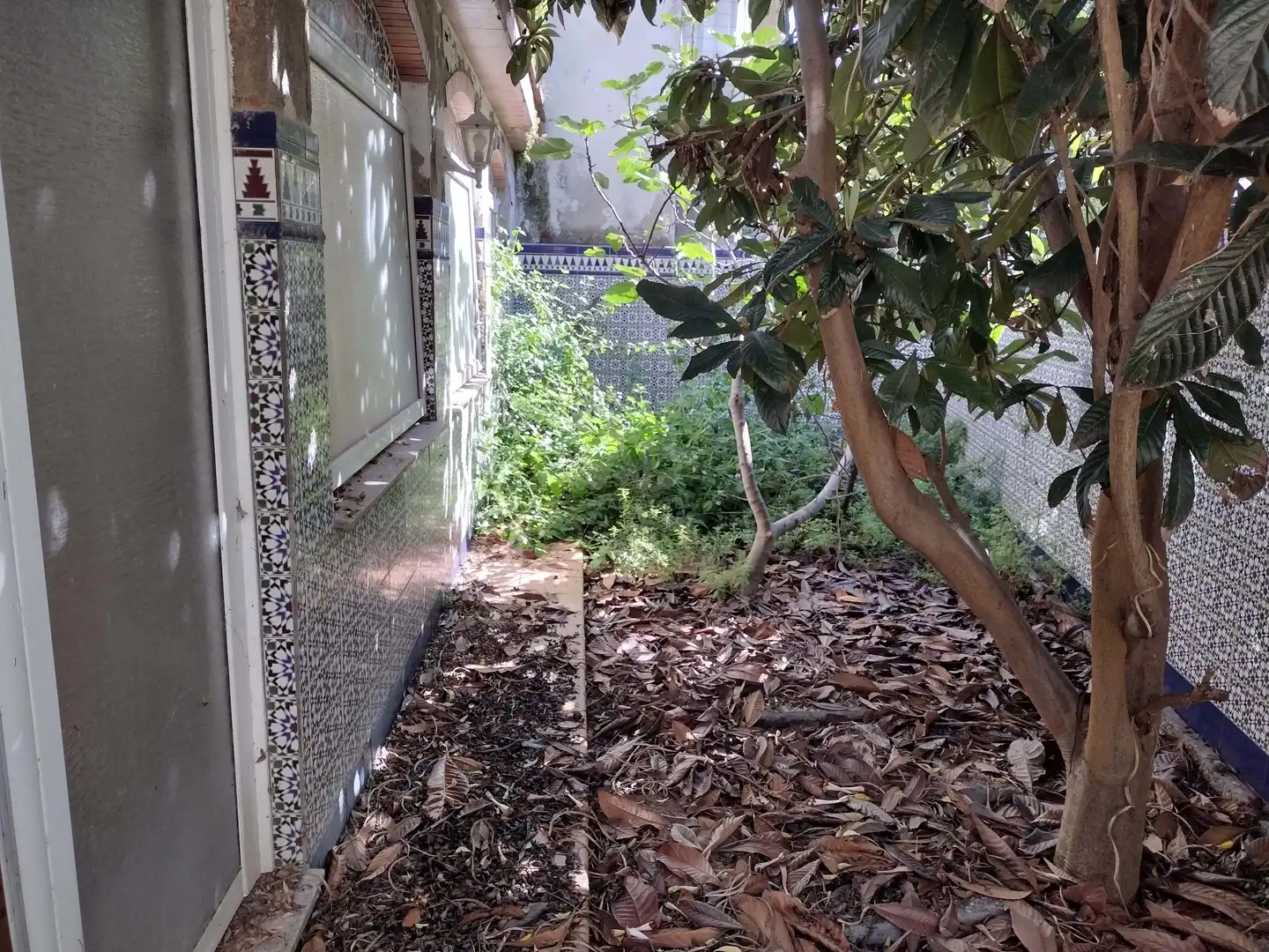 Garden of Residential for sale in Canet de Mar