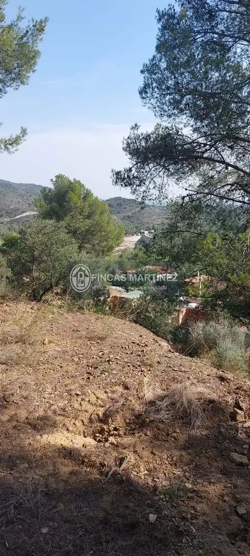 Terrenys i solars en venda a urbanizacion mar de riudecanyes, imagen 22