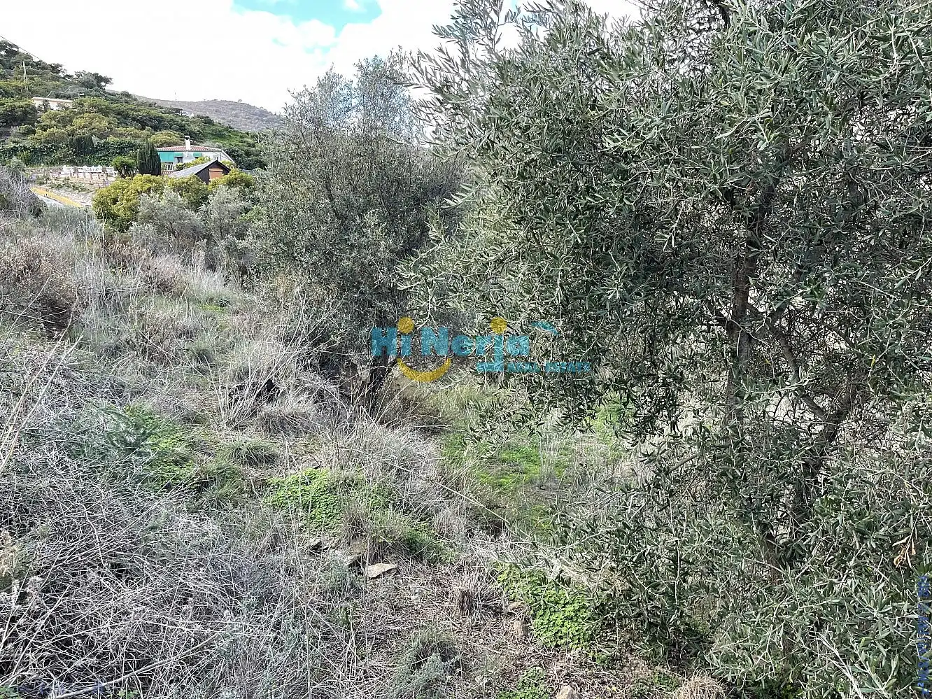 Terreni e lotti in vendita a Centro, imagen 18