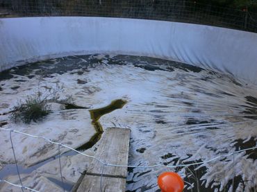 Terreno rustico in vendita a Riudecols