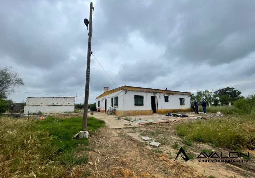 Vista exterior de Finca rústica en venda en Gibraleón amb Jardí privat i Piscina