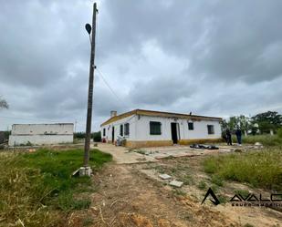 Exterior view of Country house for sale in Gibraleón  with Private garden and Swimming Pool