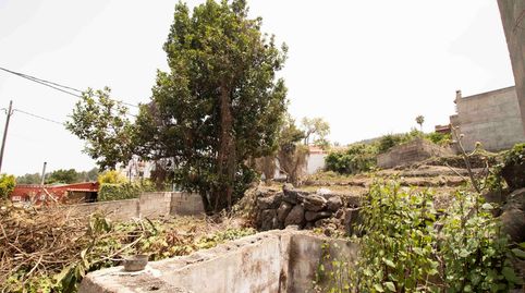 Foto 5 de Casa o chalet en venta en La Vega - El Amparo - Cueva del Viento, Icod de los Vinos