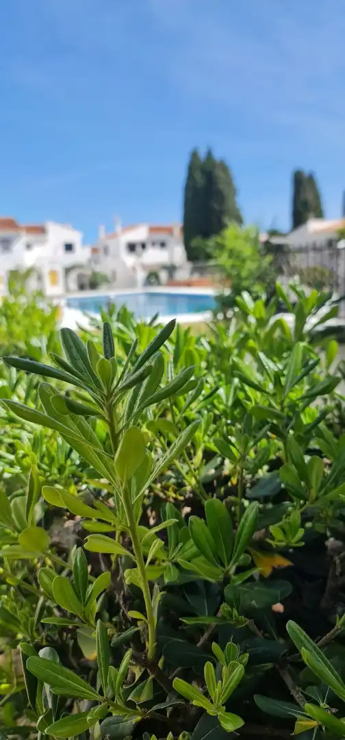 Piso en venta en Calle Bermeja 20, imagen 40