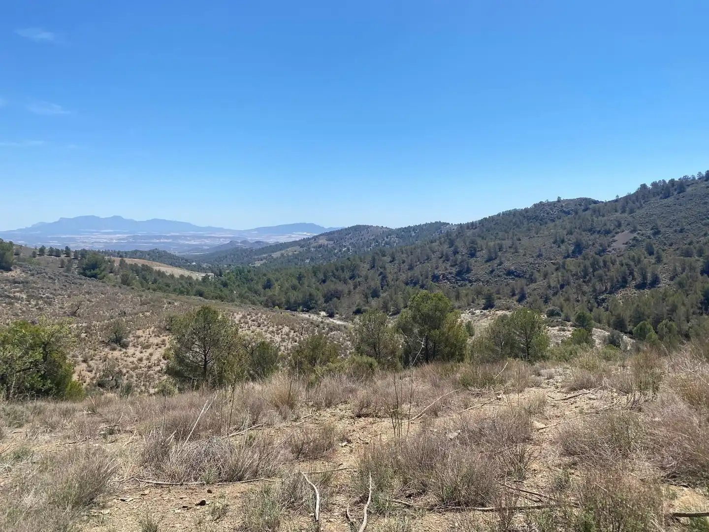Terreno rustico in vendita a Pedanías Centro, imagen 5