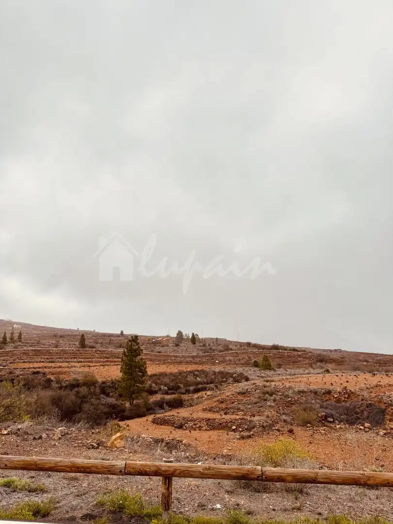 Finca rústica en venta en Vilaflor de Chasna