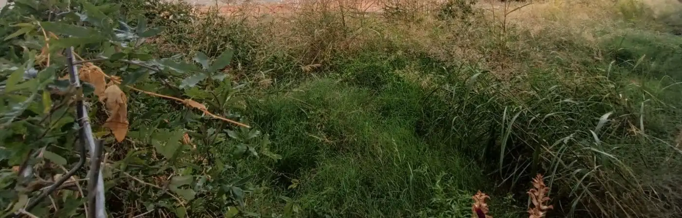 Terreno residencial en venta en Bellvei, imagen 2