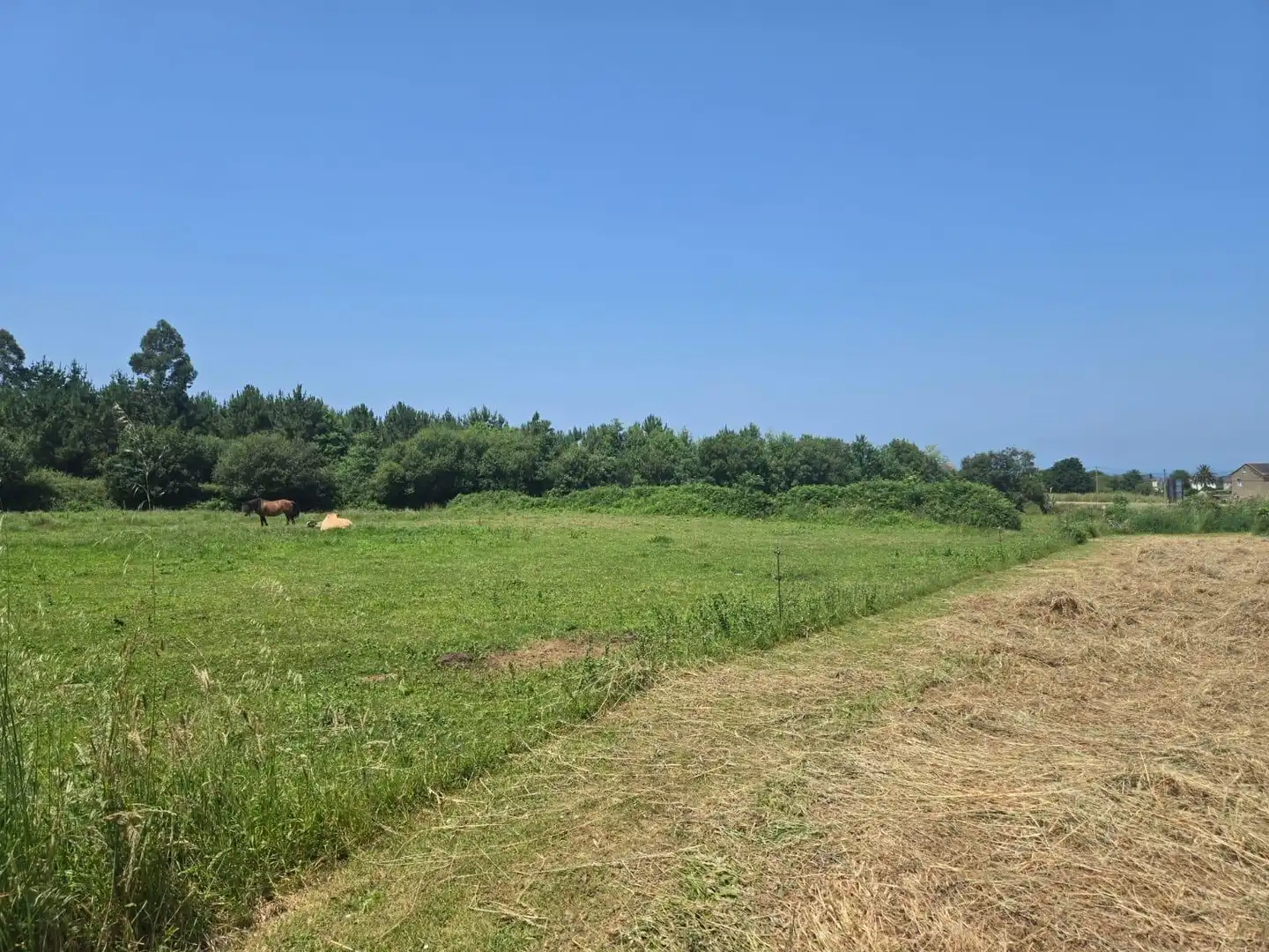 Residential land for sale in Carretera GENERAL SAN PEDRO 148, imagen 29