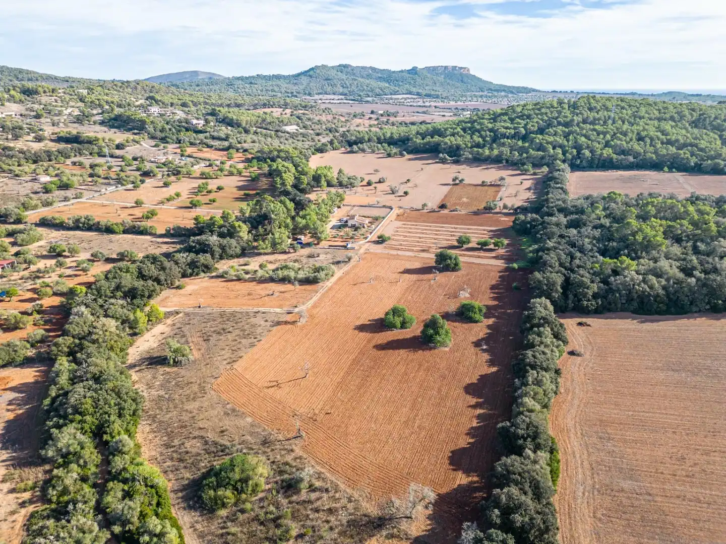 Wohnbaugrundstück zum Verkauf in Felanitx Poble, imagen 19