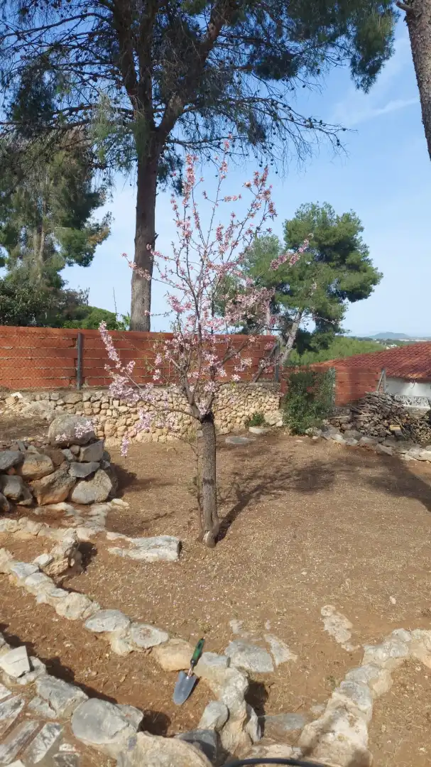 Jardín de Casa o chalet en venta en Chiva con Jardín privado, Terraza y Trastero