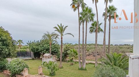 Foto 3 de Finca rústica de alquiler en Perera -es Garrovers-, Sa Indioteria Rural, Palma de Mallorca