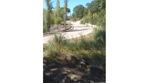 1.300m2 en Urb. Puigventos, imatge 4