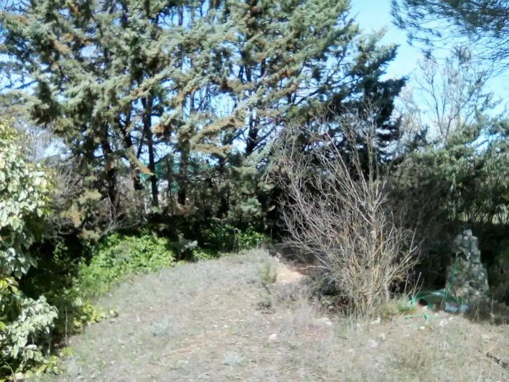 Terrenos y solares en venta en Hontoba, imagen 10