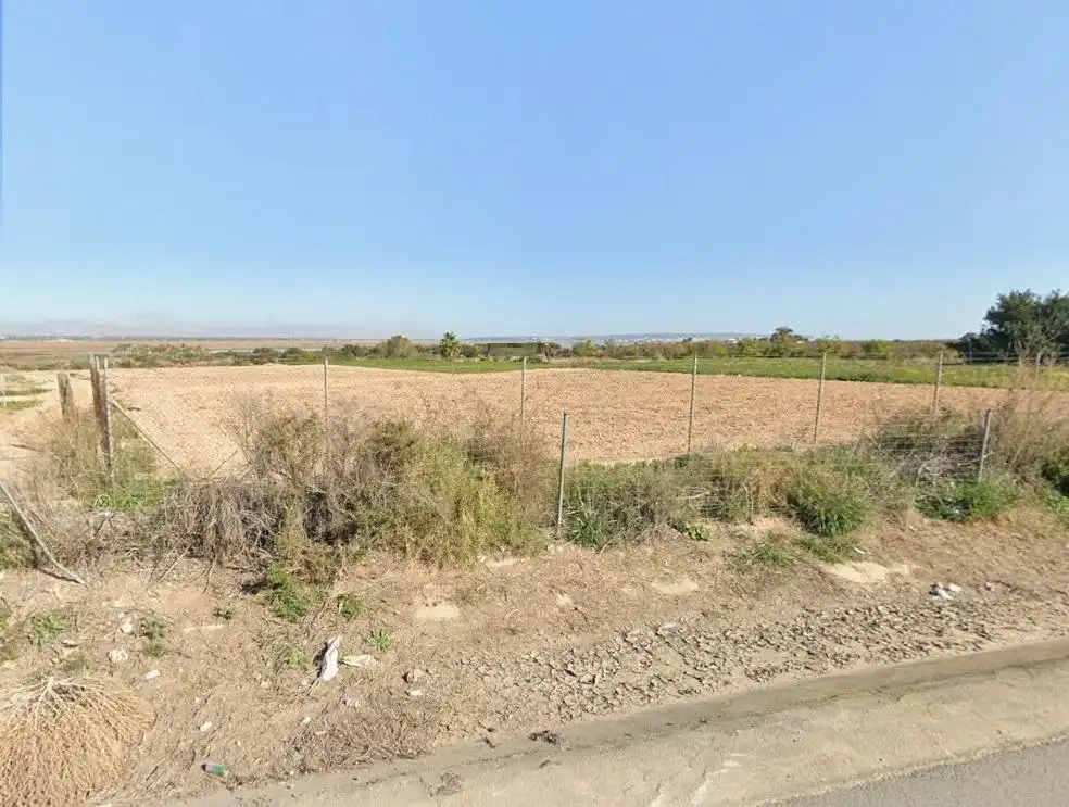Terrain rustique à vendre à Elche ciudad, imagen 9