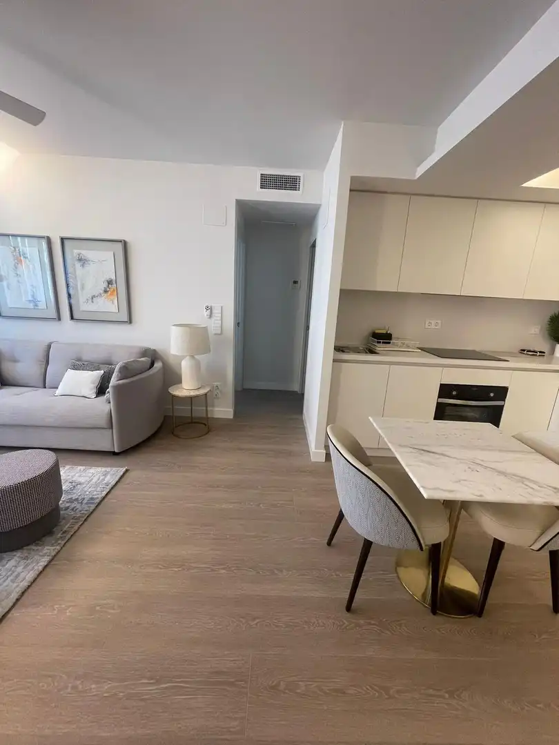 Sala d'estar de Pis de lloguer en Córdoba amb Aire condicionat, Calefacció i Moblat