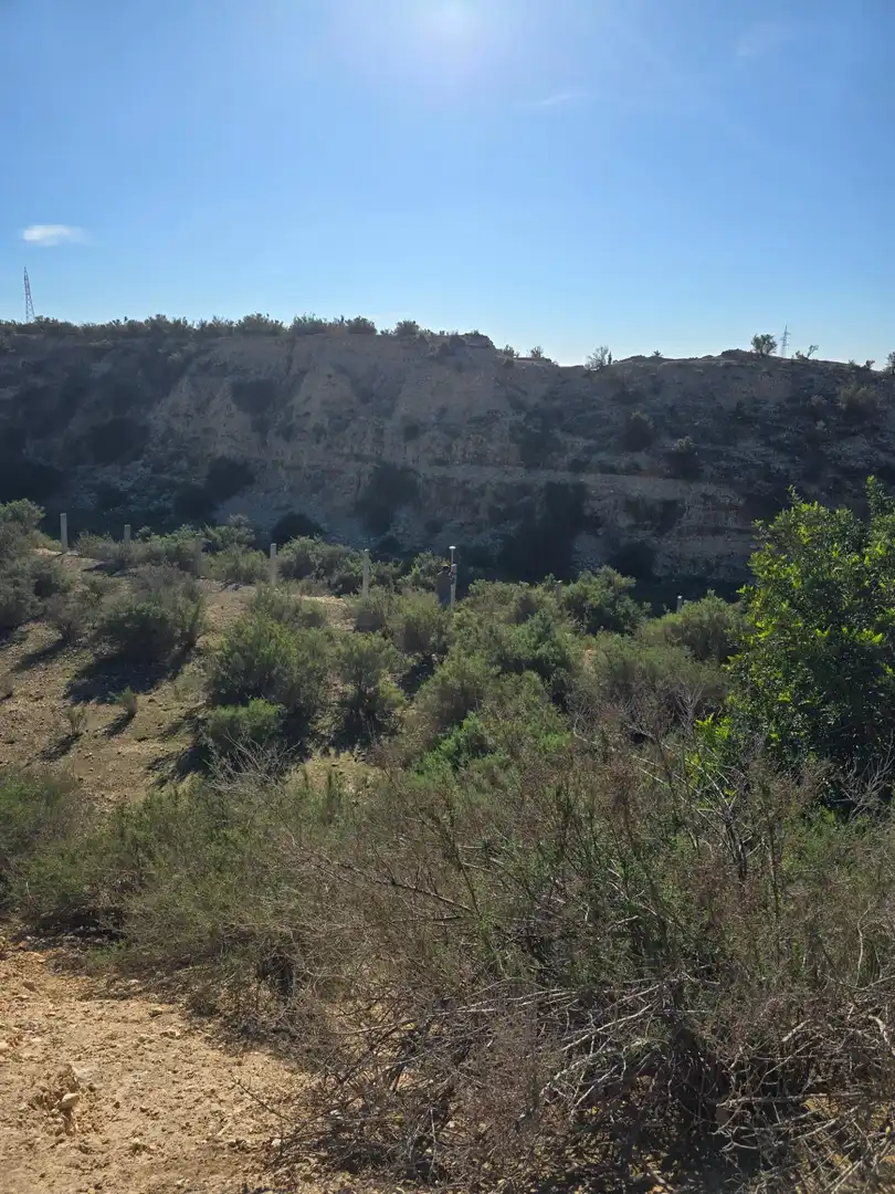 Industrial land for sale in Crevillent, imagen 12