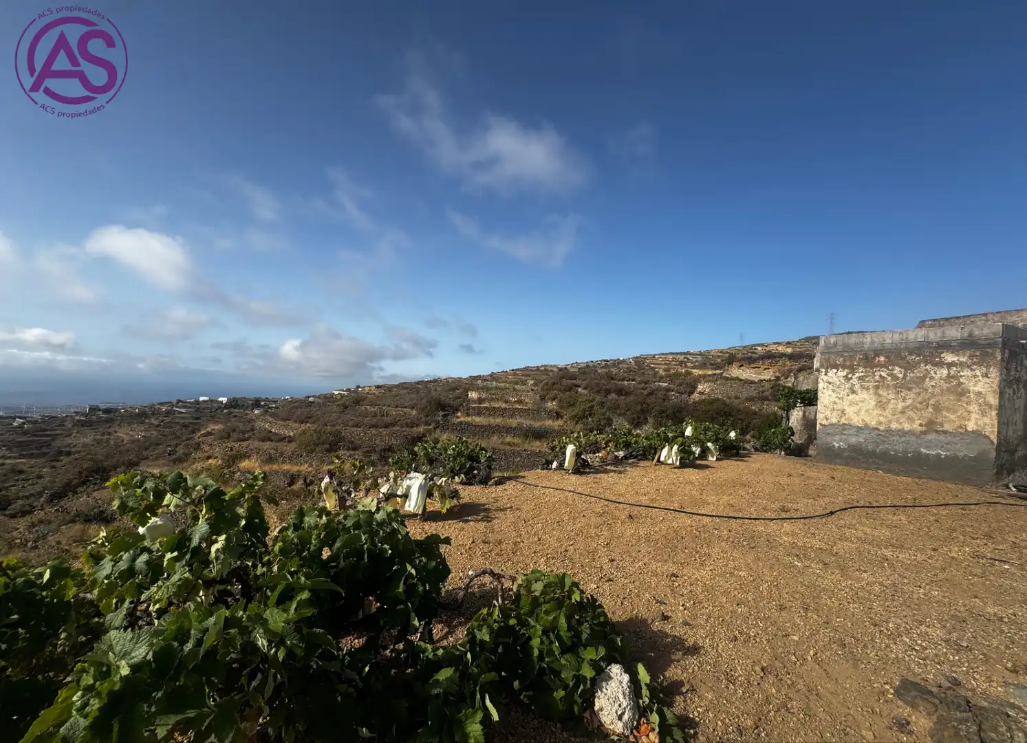 Vista exterior de Terreno en venta en Fasnia