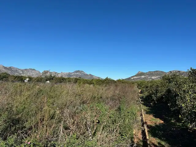 Terreny rústic en venda a Partida Cova Negra, imagen 11
