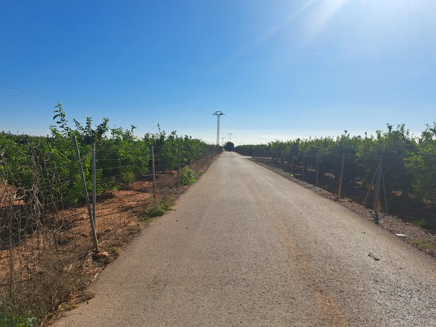 Rural land for sale in Plaça Num 17 105, imagen 5