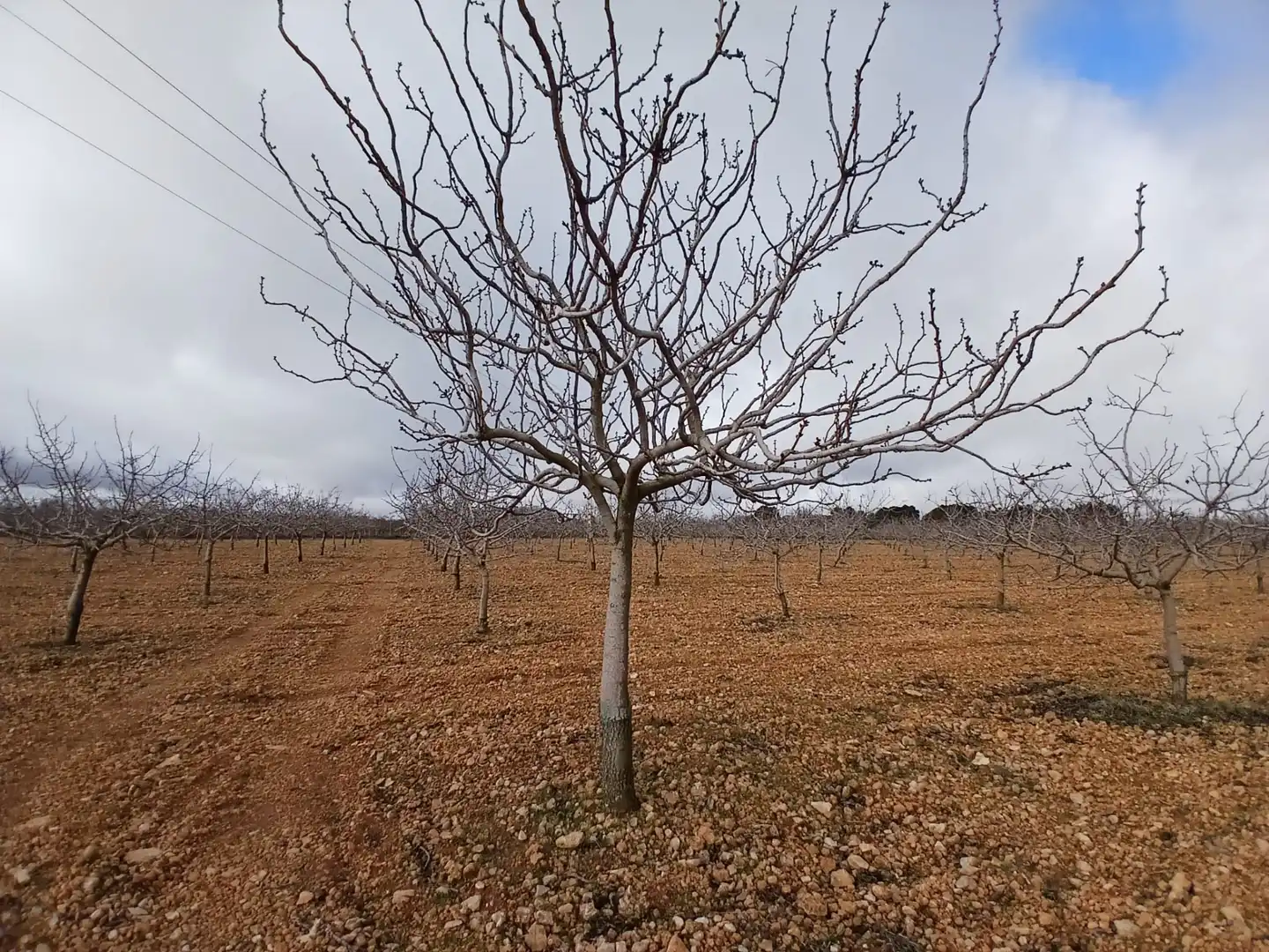 Rural land for sale in Carretera Solana, imagen 19