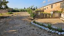 Garden of Country house for sale in Alcanar