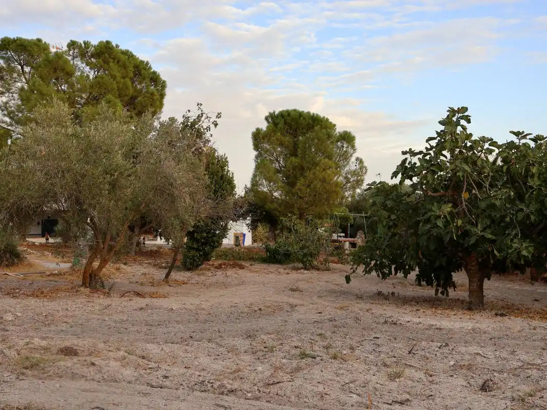 Casa o xalet en venda a C. Rio Guadiana, Villarejo de Salvanés