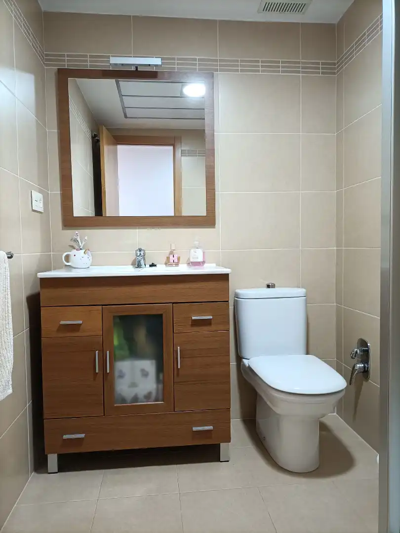 Baño de Ático en venta en Altura con Aire acondicionado, Parquet y Terraza