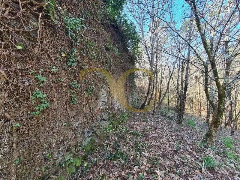 Casa o xalet en venda en Villayón amb Jardí privat