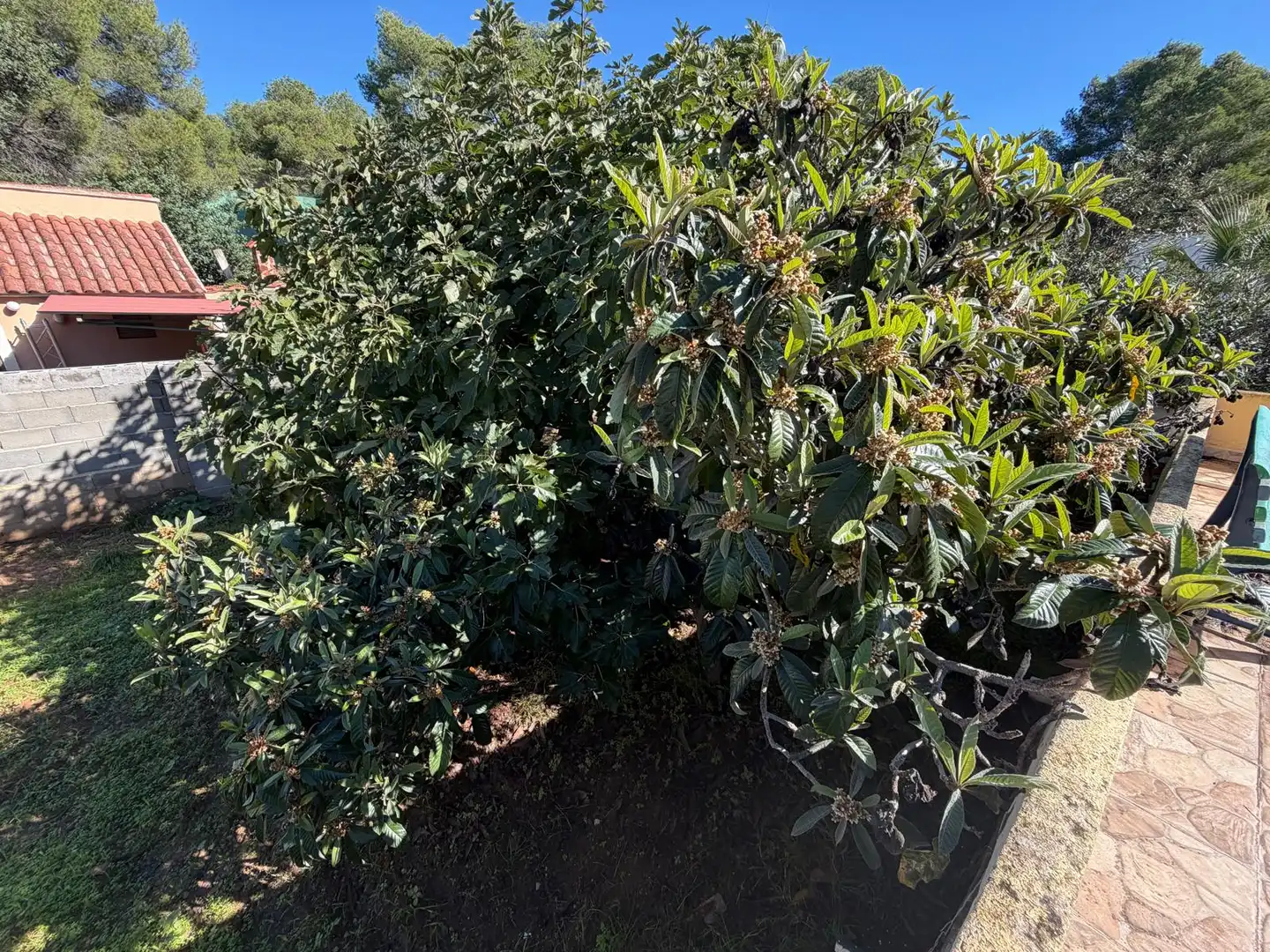 Einfamilien-Reihenhaus zum Verkauf in Olocau mit Privatgarten, Terrasse und Schwimmbad