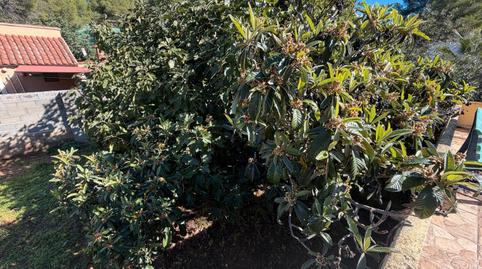 Photo 5 of Single-family semi-detached for sale in Carrer Dels Albers, Olocau, Valencia