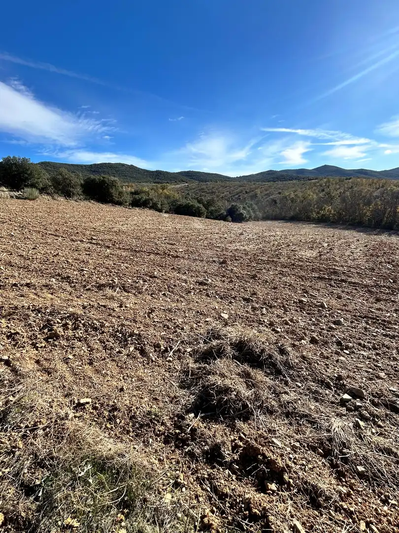 Terreno en venta en Encinacorba