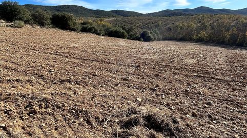 Photo 2 of Land for sale in Encinacorba, Zaragoza