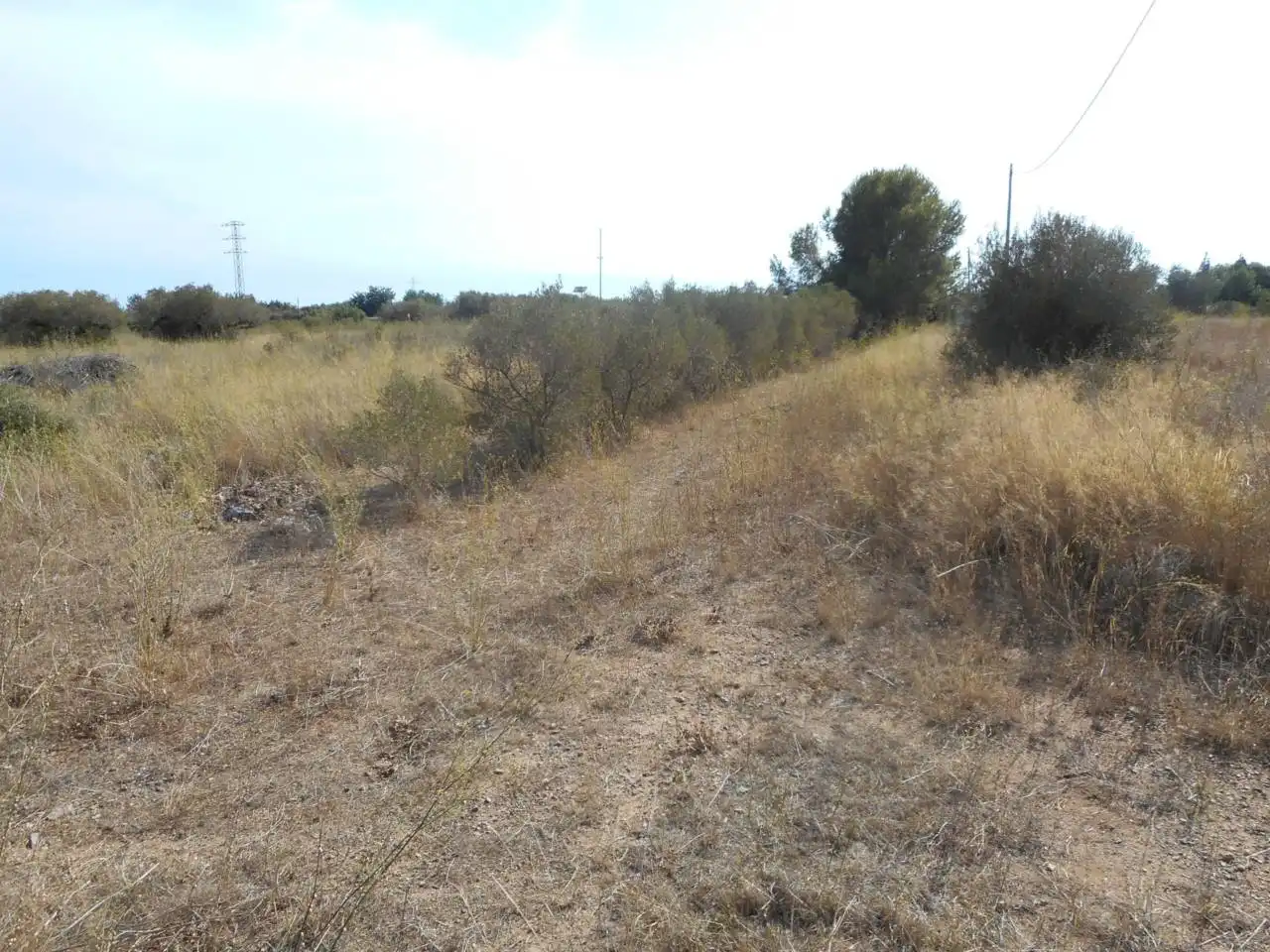 Rural land for sale in Carretera dels emprius, imagen 4