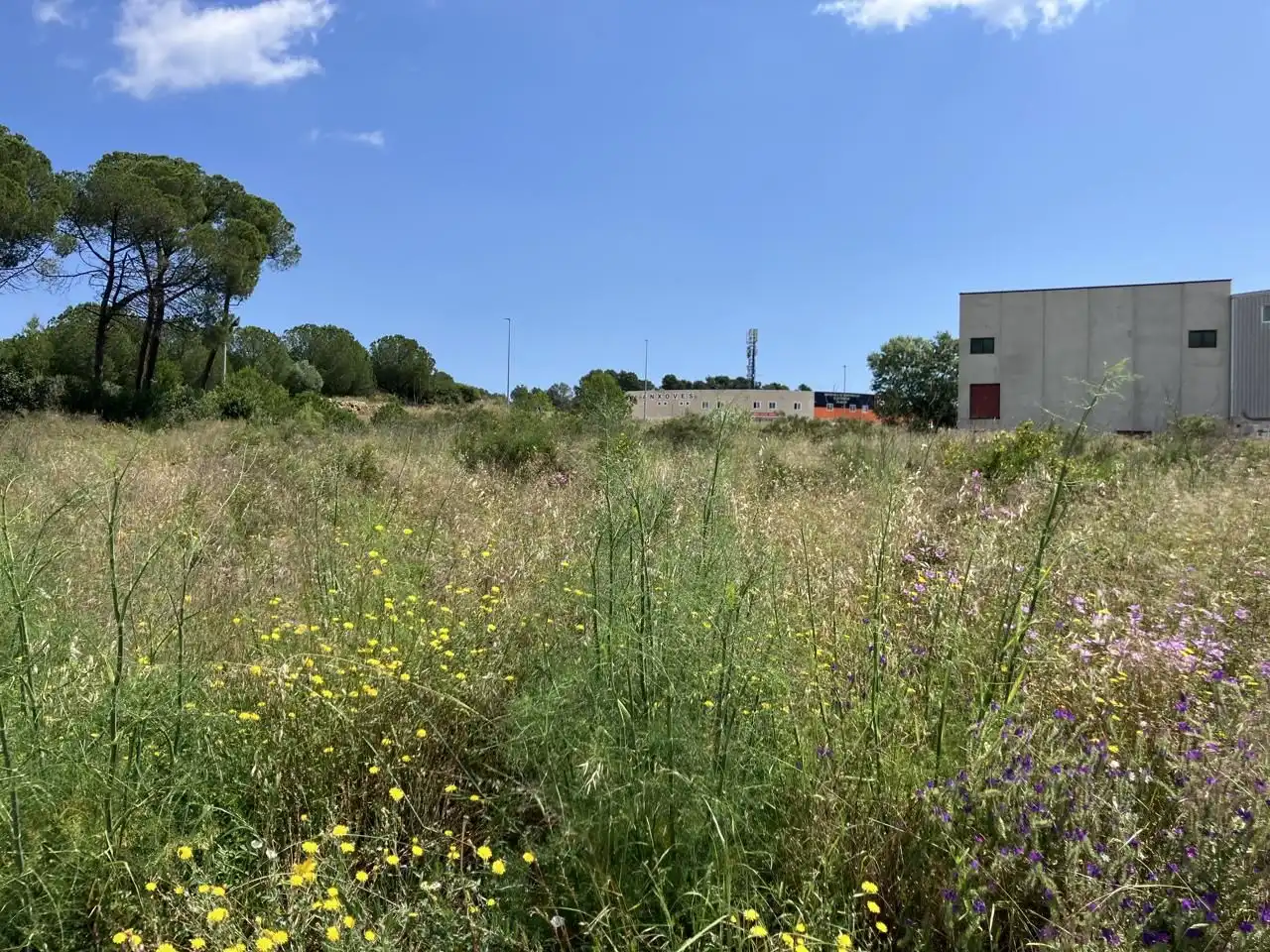 Terreny industrial en venda en L'Escala