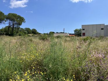 Industriegrundstück zum Verkauf in Carrer dels Boters