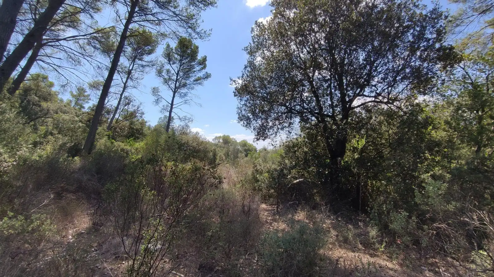 Rural land for sale in Sa Pobla, imagen 18