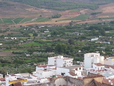 Rural land for sale in Laujar de Andarax