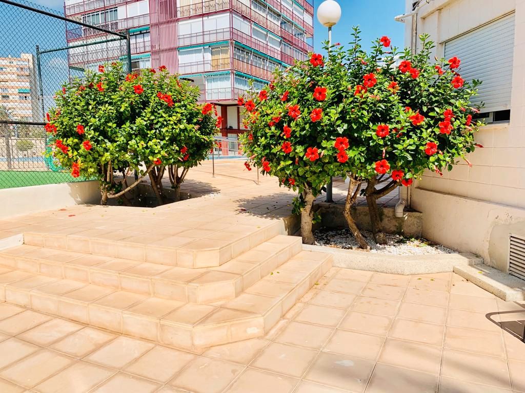 Apartament en venda a Avenida de Niza, 30, Playa de San Juan, Playa de San Juan - El Cabo de las Huertas
