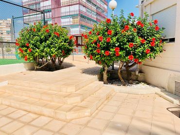 Apartament amb piscina en venda a Avenida de Niza 30