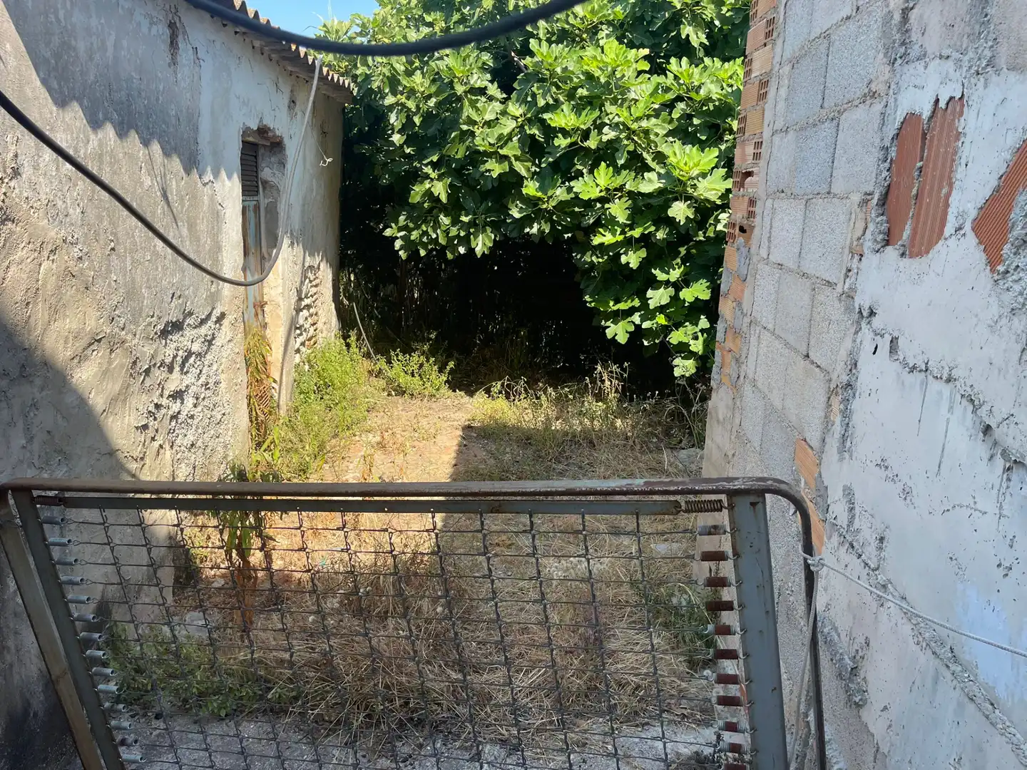 Houses for sale in Carretera d'Almoines, 35, Benipeixcar - El Raval