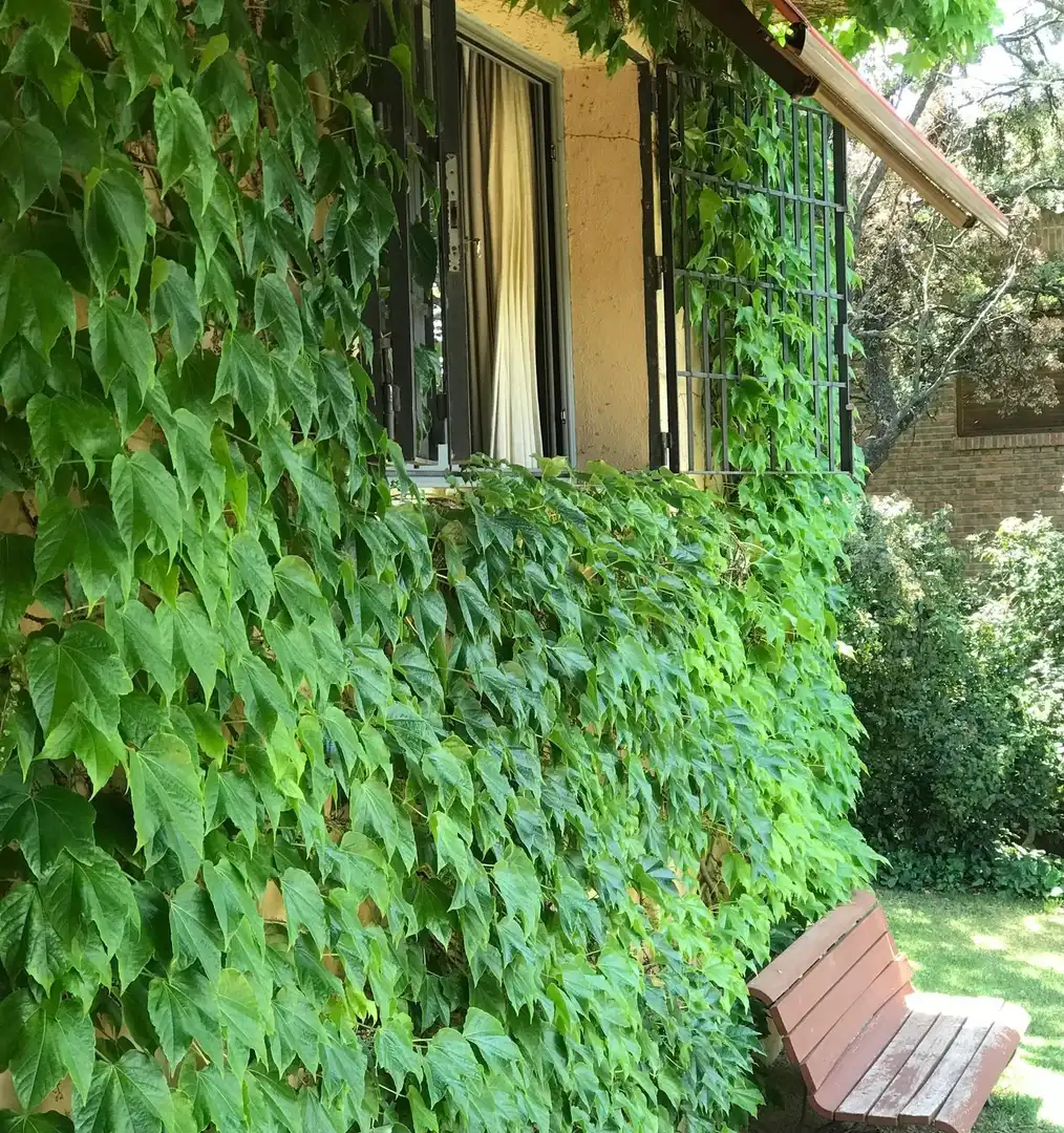 Terraza de Casa o chalet en venta en Torrelodones con Calefacción, Terraza y Piscina