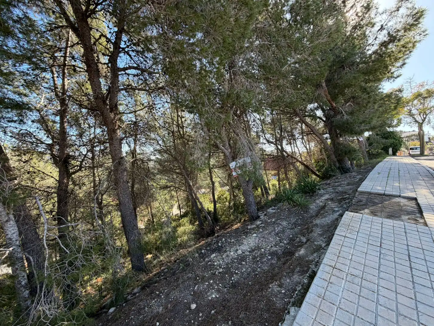 Terrenos y solares en venta en Can Lloses - Can Marcer, imagen 3