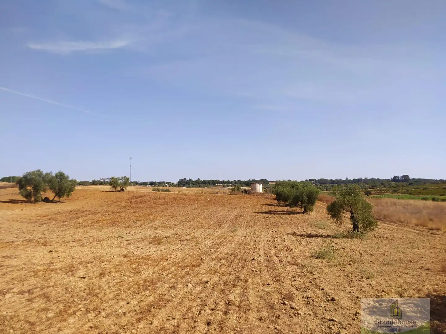 Finca rústica en venda a Villarrasa