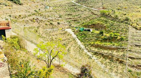 Foto 5 de Finca rústica en venta en Torrox Pueblo, Torrox