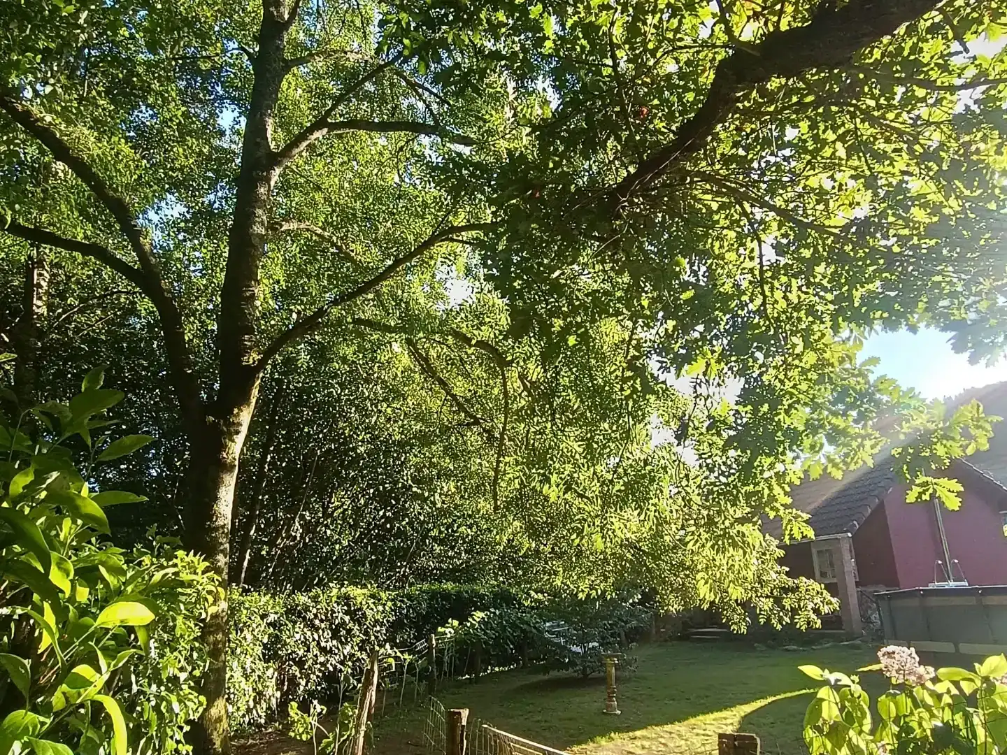 Jardí de Casa o xalet en venda en Soto del Barco